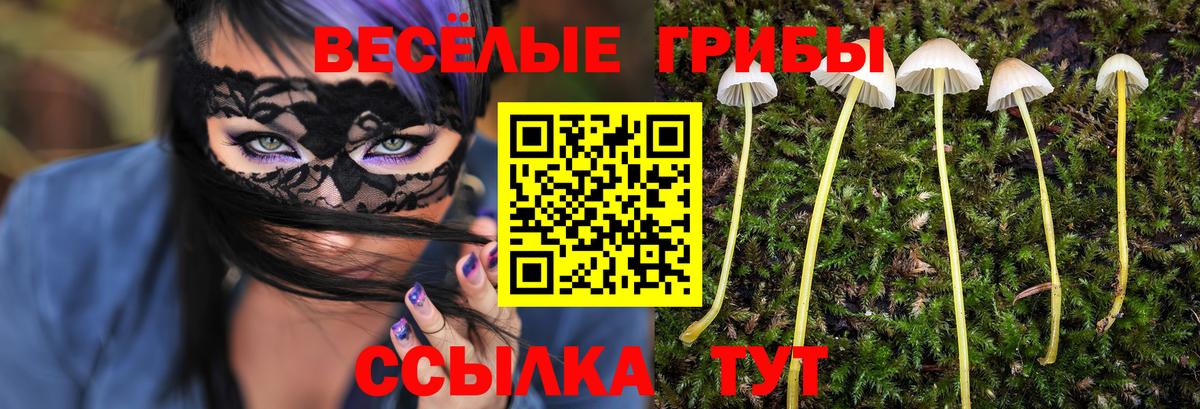 Псилоцибиновые грибы мицелий Жуковский